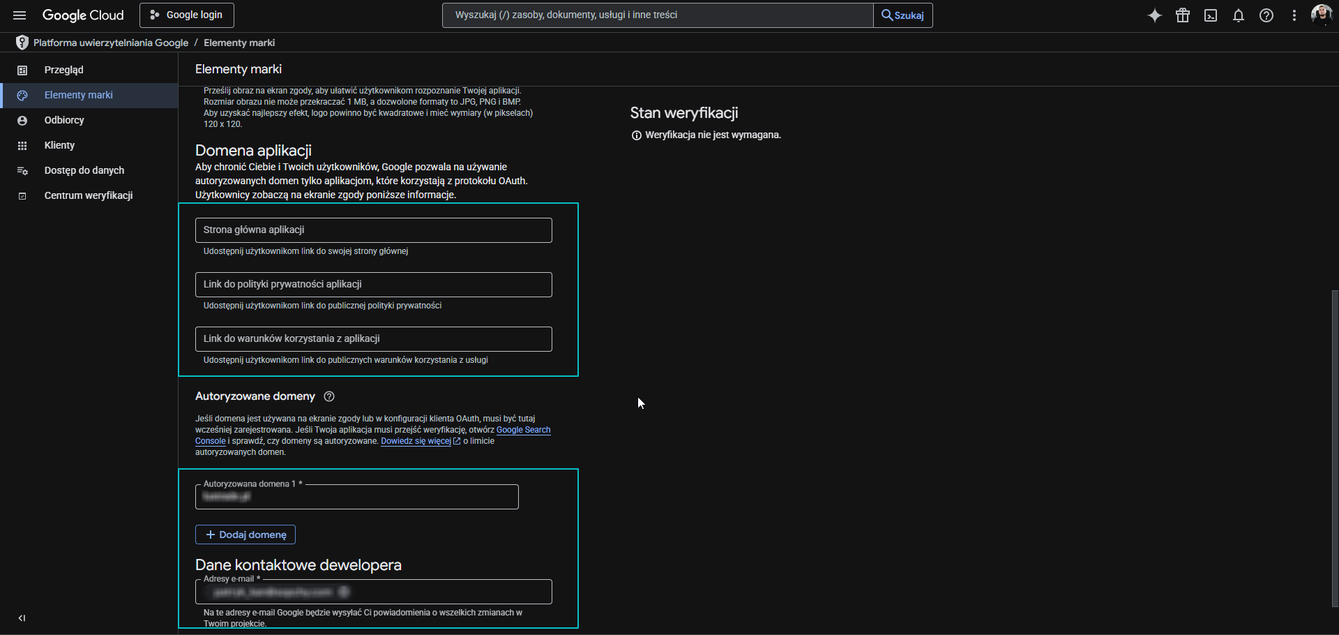 Elementy marki Google - domena aplikacji